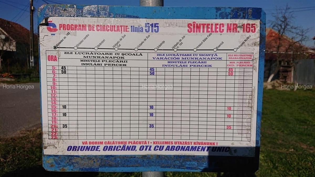 Vand teren in Santelec - 5