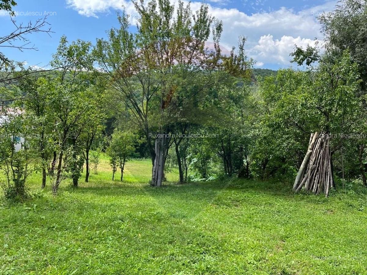 Teren intravilan (faneata) de vanzare  - 2231 mp, Telega, jud. Prahova - 5