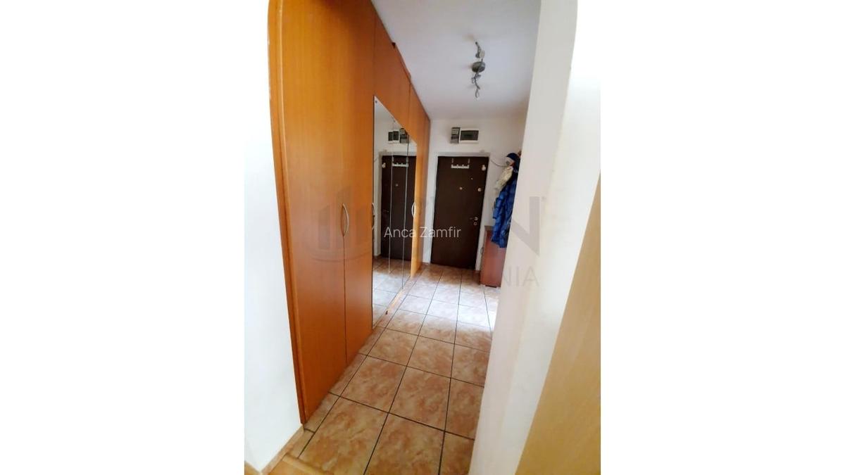 Apartament cu 3 camere semidecomandat în Teiul Doamnei - 12
