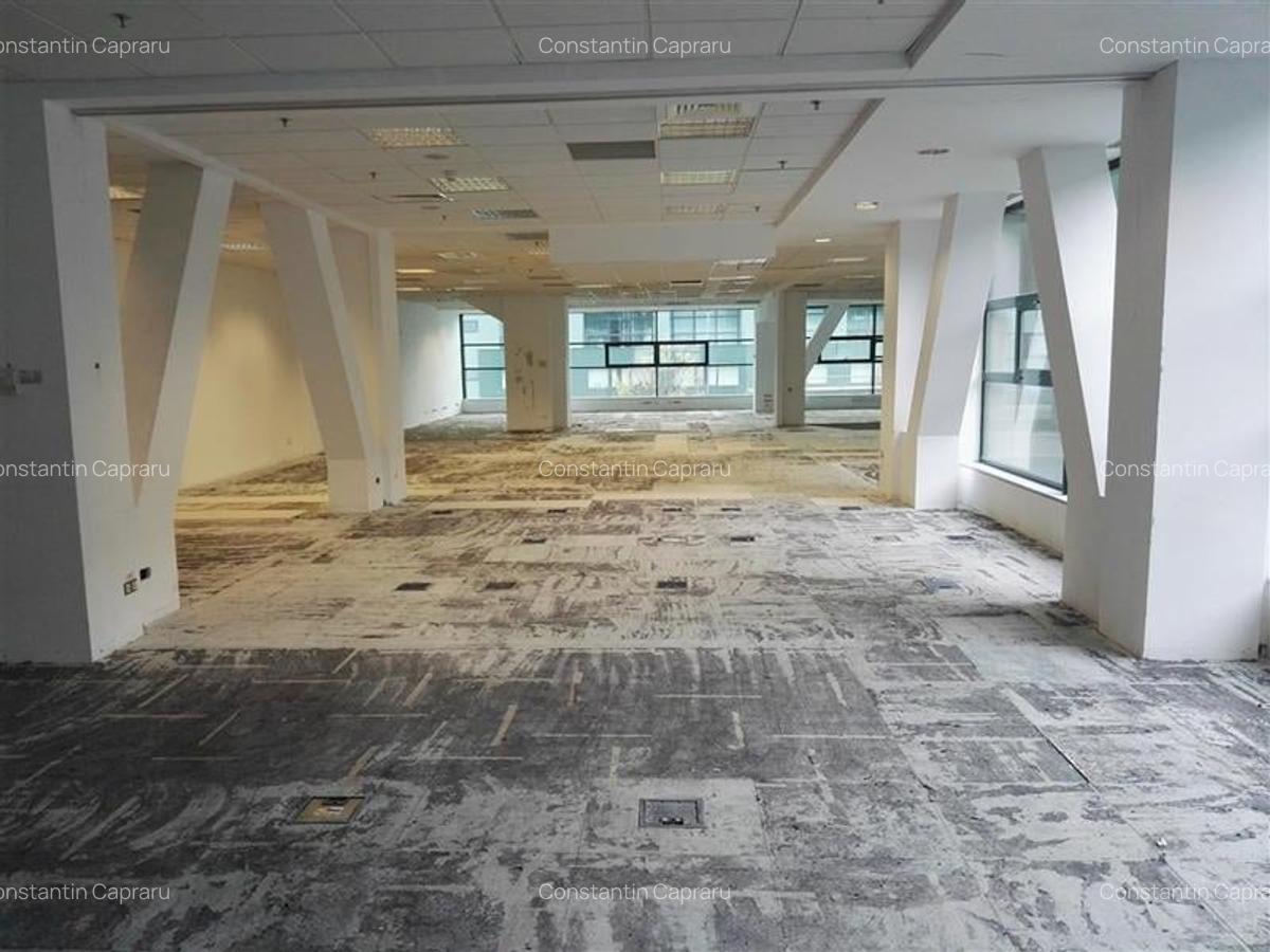 Spatii pentru birouri in Iride Business Park - 4