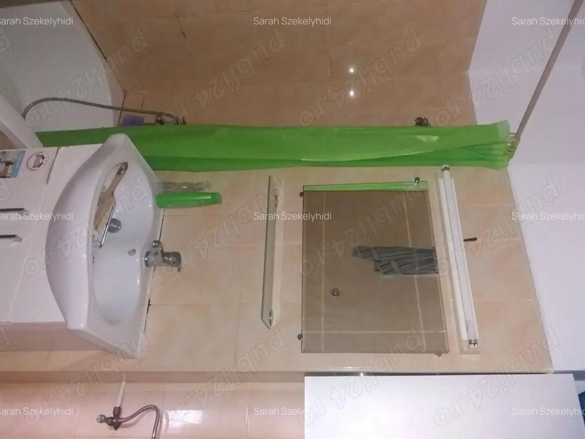 Inchiriez apartament 2 camere, Bvd. Camil Ressu, nr. 34, langa piata Ramnicu Sarat - 10