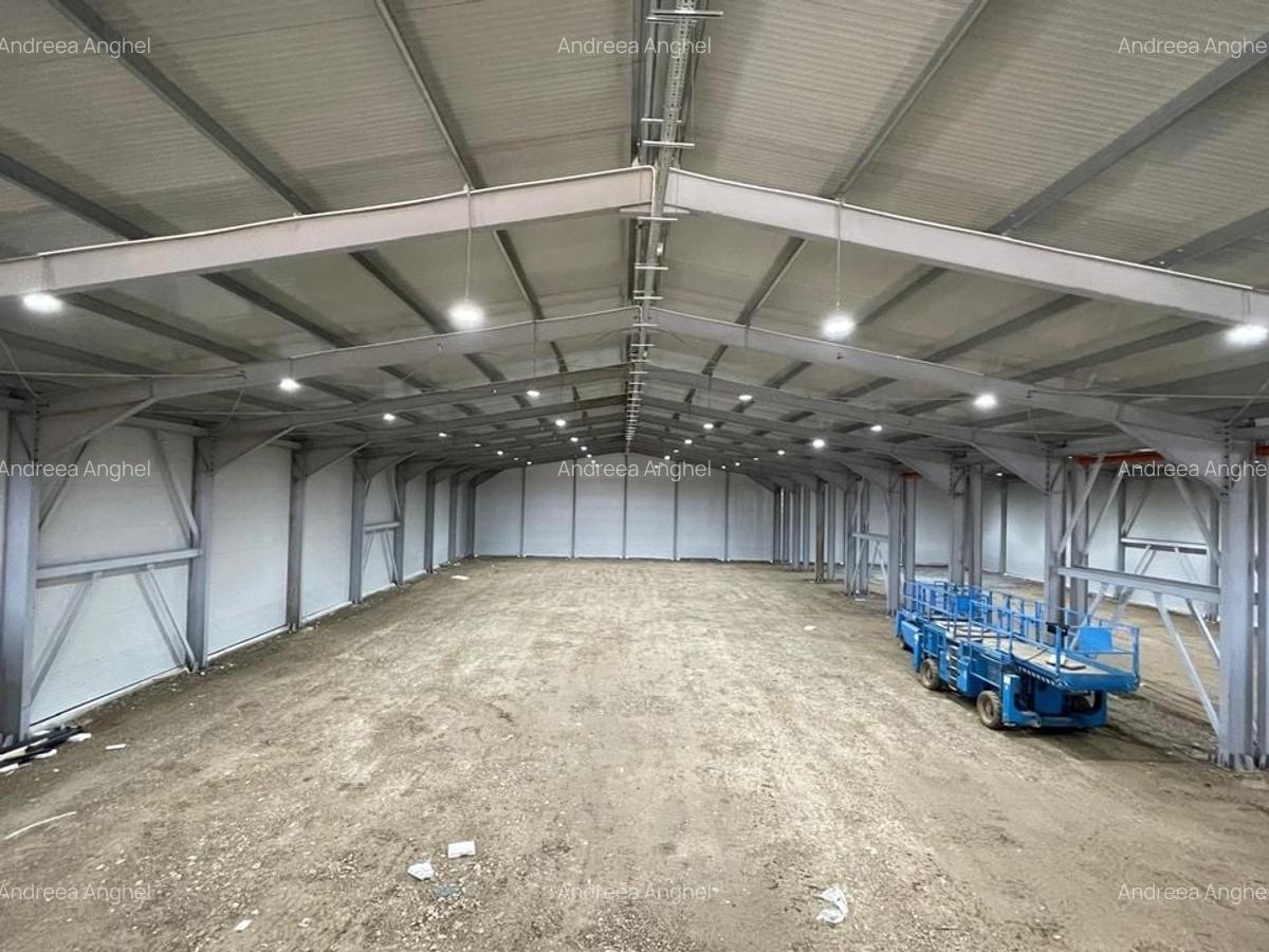 Hala industrială de vânzare – Balotești / Oportunitate Investitie - 1