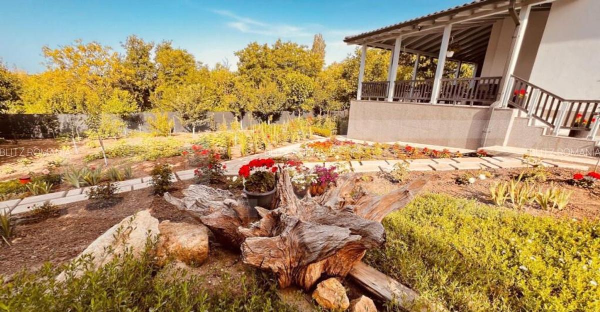 Casa 5 camere in Barnova, 150 mp utili si 1000 mp teren - 8