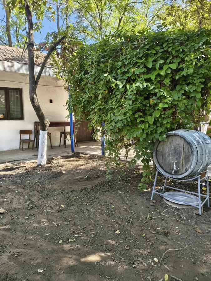 Casa locuibila in judetul buzau - 8