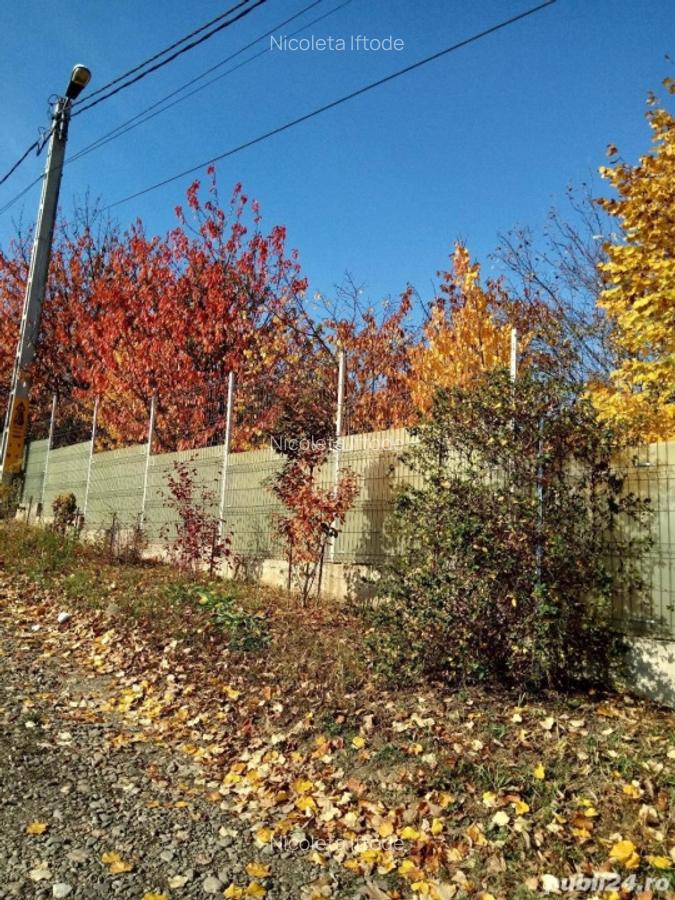 Teren intravilan 500 mp Rediu la 150 ml de soseaua principala. - 2