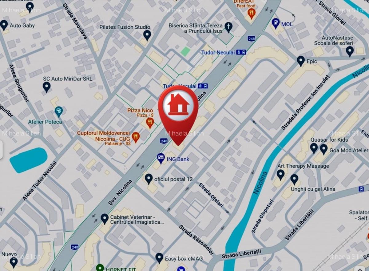 Garsonieră semidecomandată, mobilată în Nicolina - 13