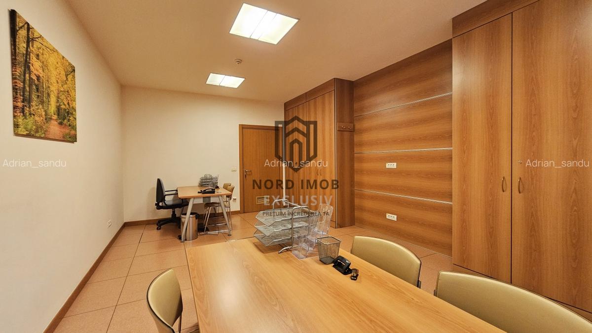 OPORTUNITATE! Spatiu de birouri 6 camere | 266 mp | 5 Bai | 2 terase | Herastrau - 7