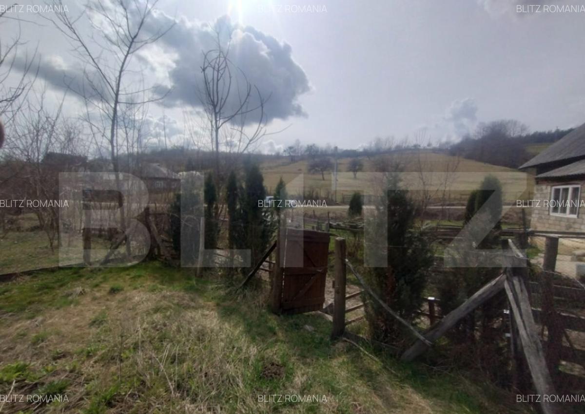 Teren 300 mp + Cabana,zona Livezile,Valea Lunga - 10