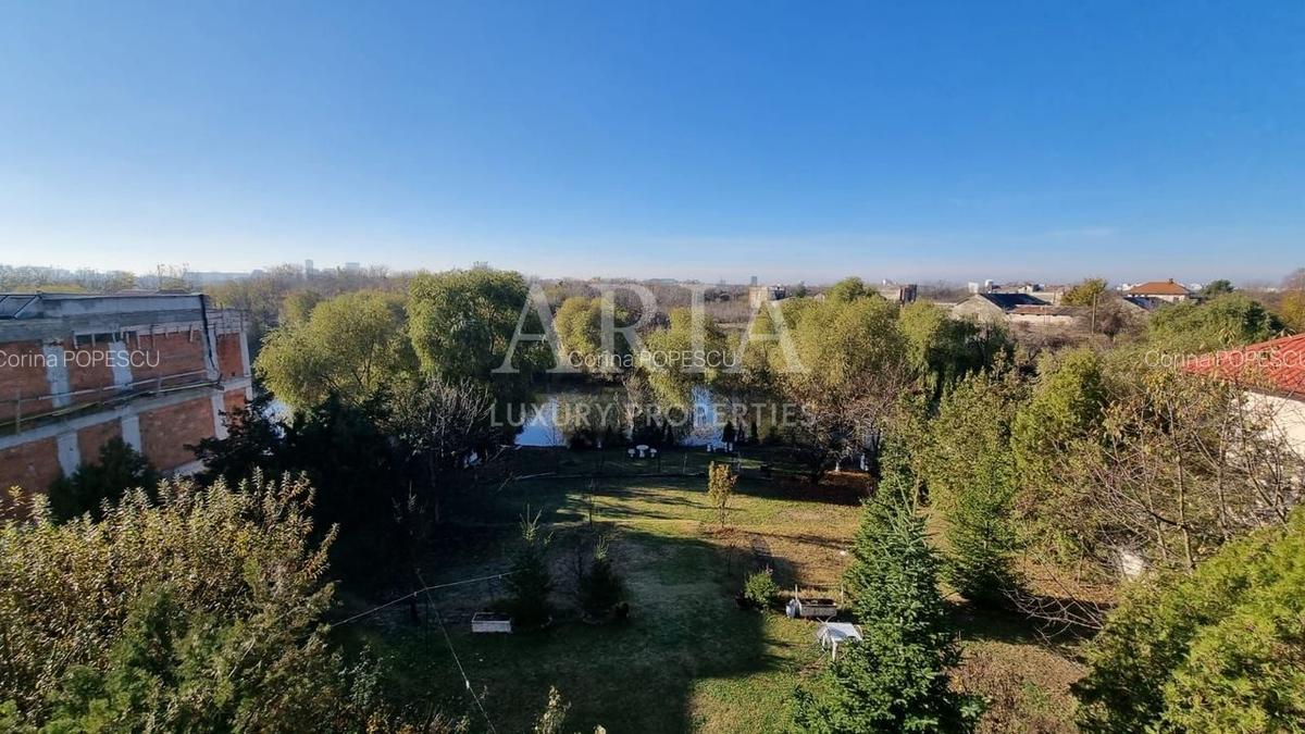 Casă individuală cu 24 camere în Iancu Nicolae - 4