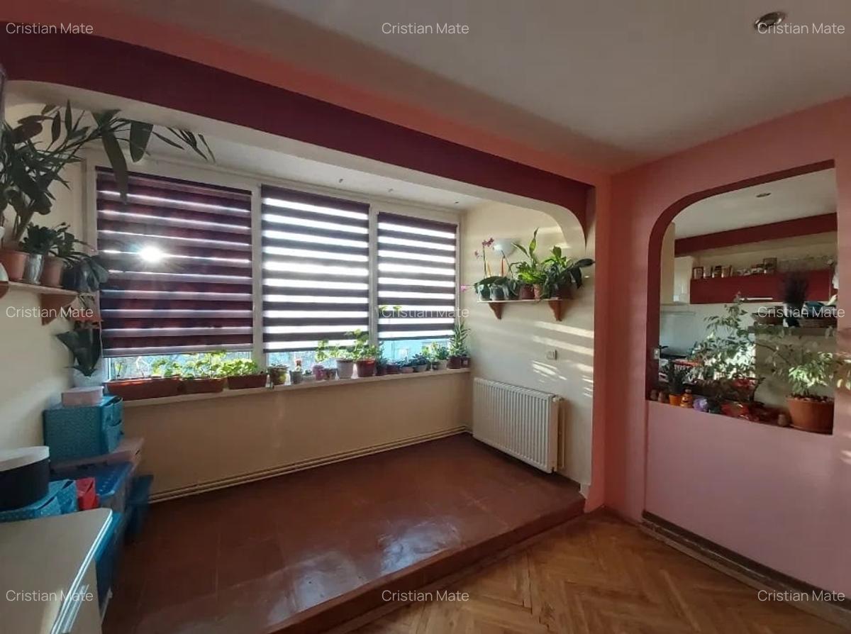 Apartament 3 camere pe Grigore Alexandrescu - 1