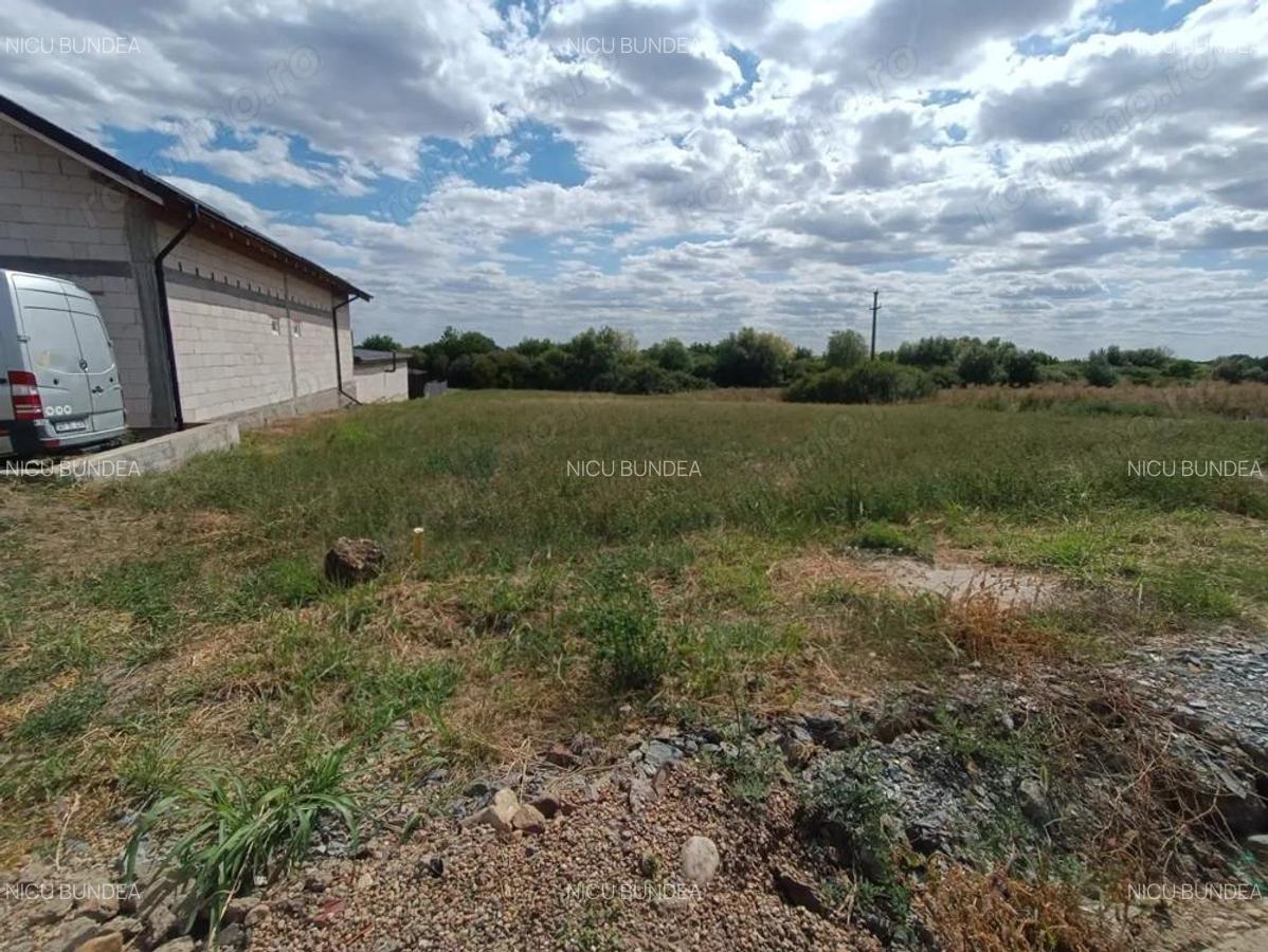 Descopera o oportunitate rara: Teren intravilan- 2.000 mp in Zadareni - 11