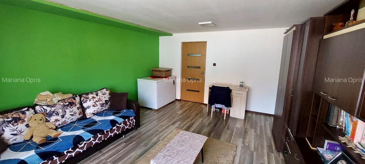 Casa 4 camere suprafata utila 126mp, teren 1600mp, spre vanzare in Seica Mare - 9