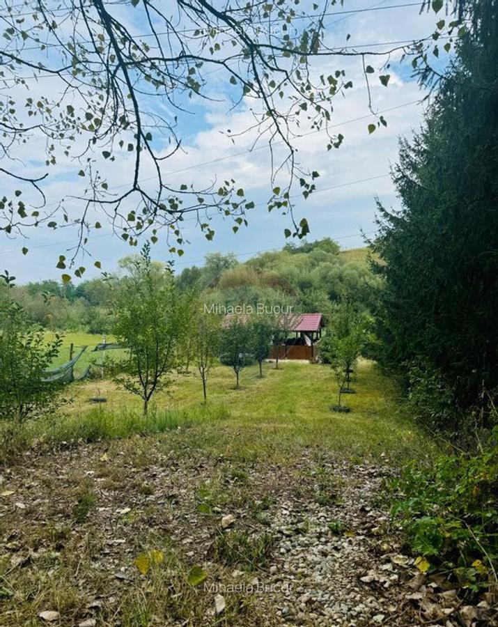 Teren Drumul Buzdului cu o cabana mica - 6