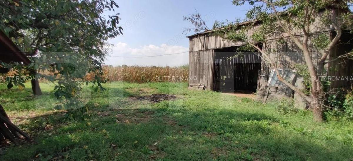 Casa mare cu gospodarie completa Belin?, jude?ul Timi? teren 4.900 mp - 14