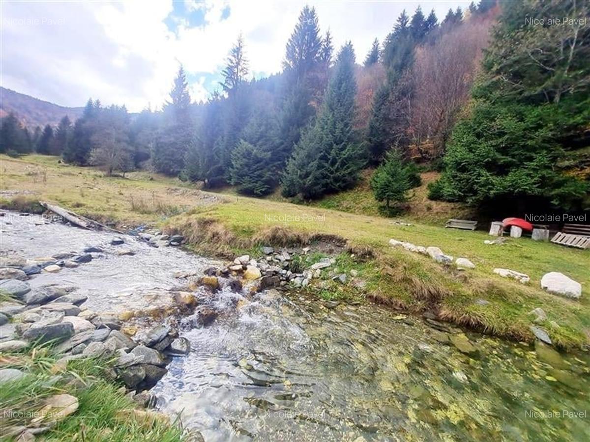 Teren intravilan panoramic 4.600mp,view iconic Piatra Craiului,oportunitate prem - 3