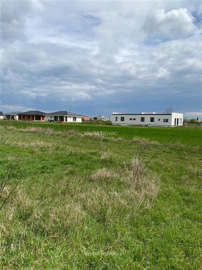 RECO Teren intravilan in  Cihei 500mp - 1