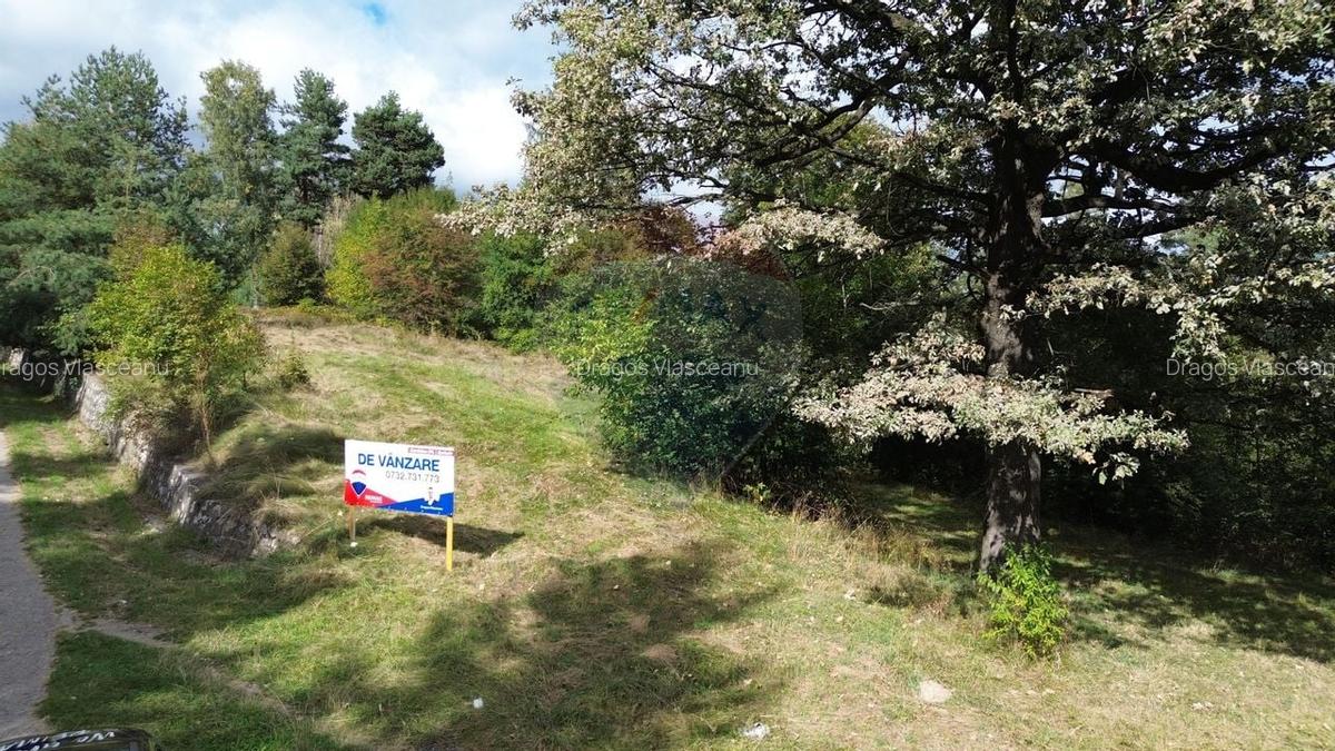 De vanzare - Teren 5.193 mp, pasune partial impadurita, Campulung - 1