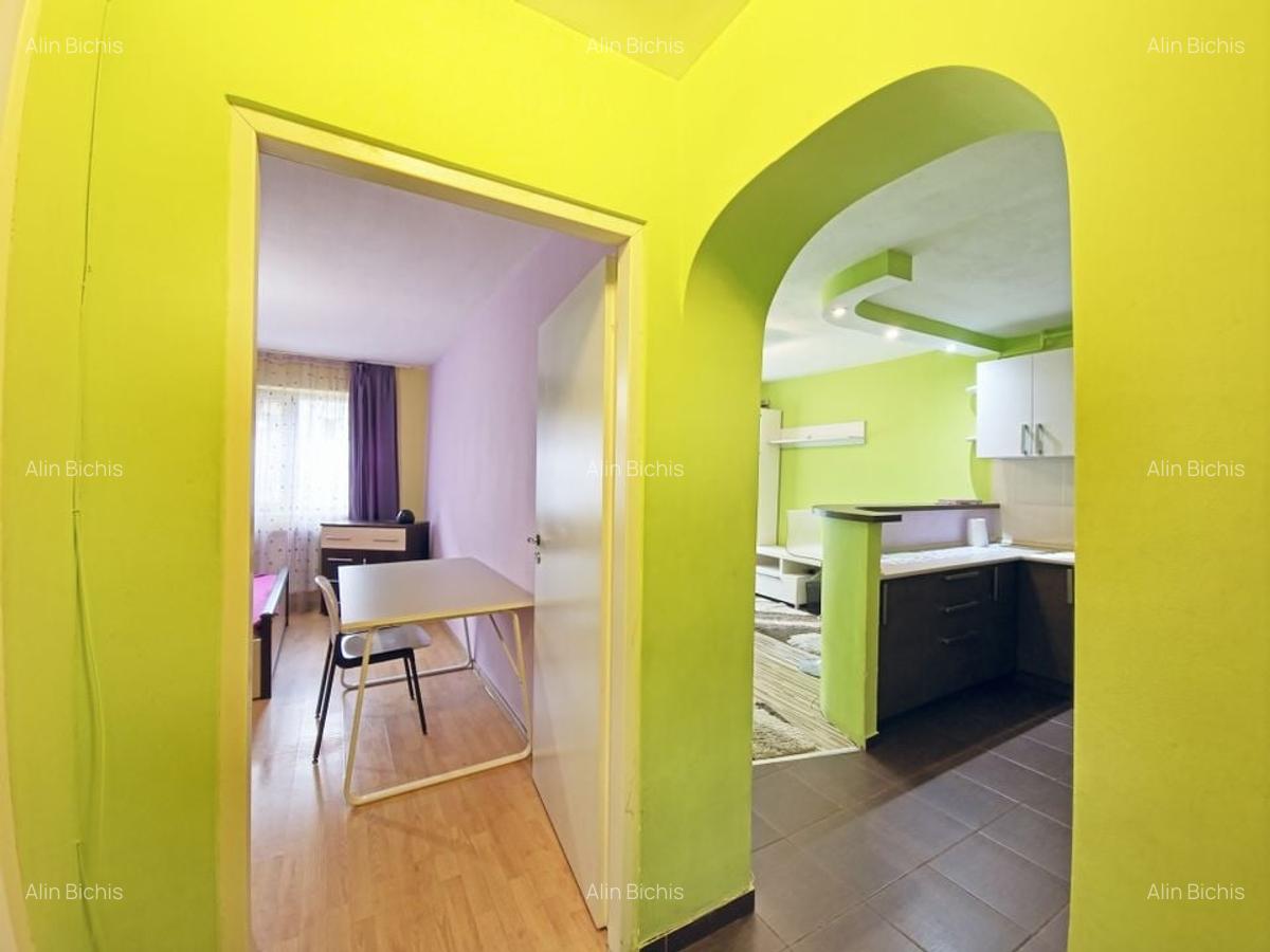 Apartament cu 2 camere, mobilat si utilat, zona strazii Primaverii - 10