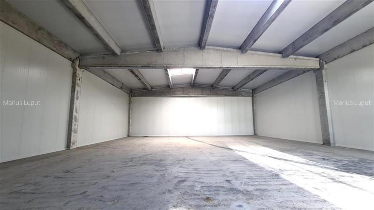 Spatiu industrial, 1050 mp, Timisoara exterior NORD - 6