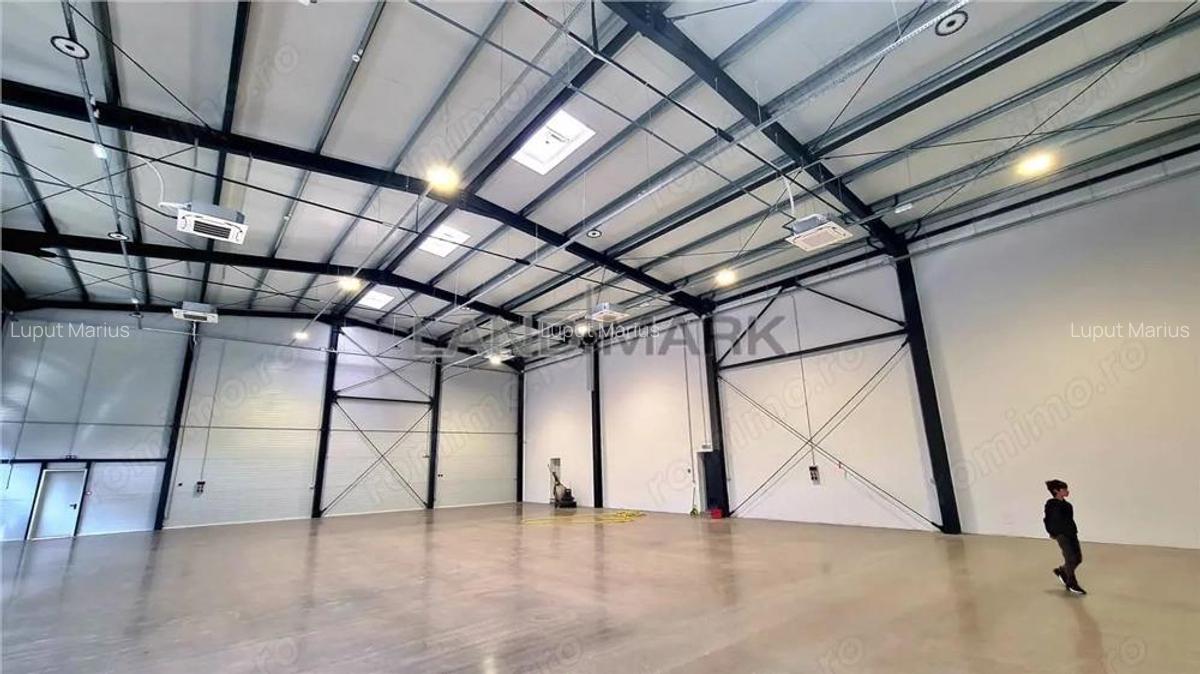 Hala noua de inchiriat , zona Lugojului - Aeroport Tmisoara - 5