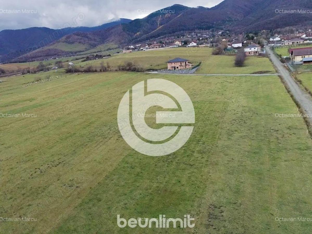 Teren intravilan in Tocile - 4354 m2 - 2 fronturi - oferta competitiva - 2