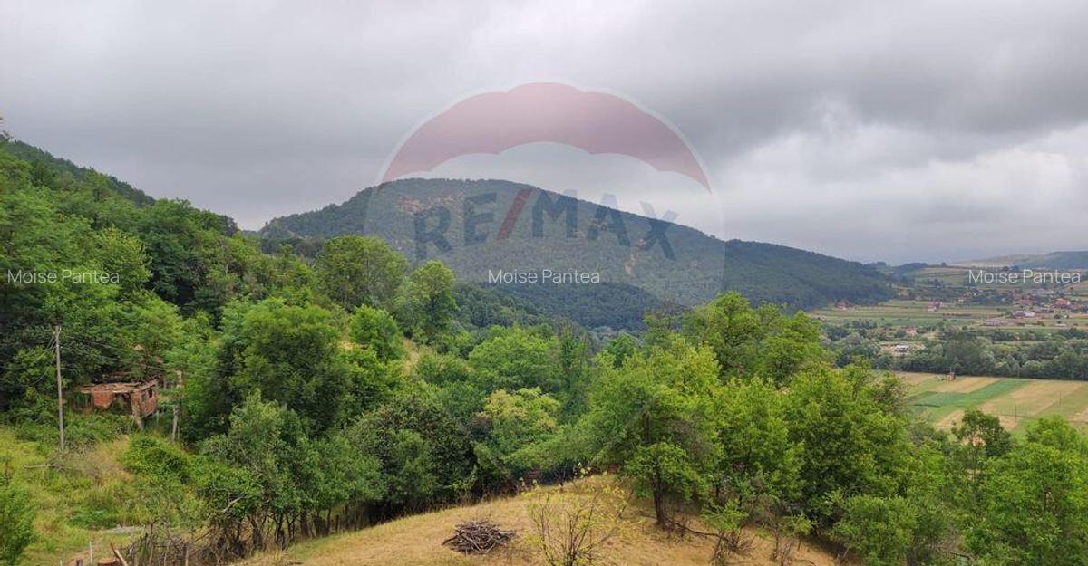 Casa de vacanta cu 6 camere de vanzare Suncuius - 17