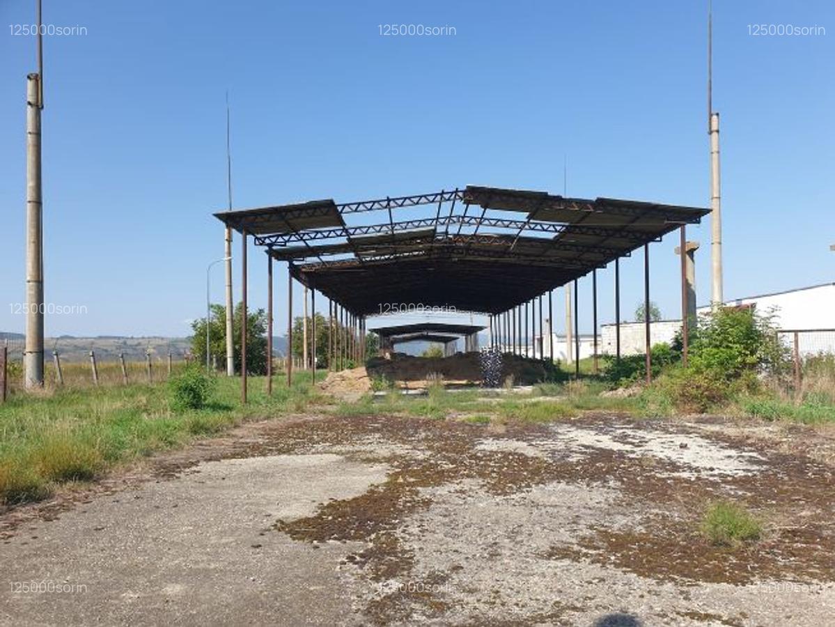 Hale pentru depozitare sau productie, teren aferent, vanzare sau inchiriere. - 5