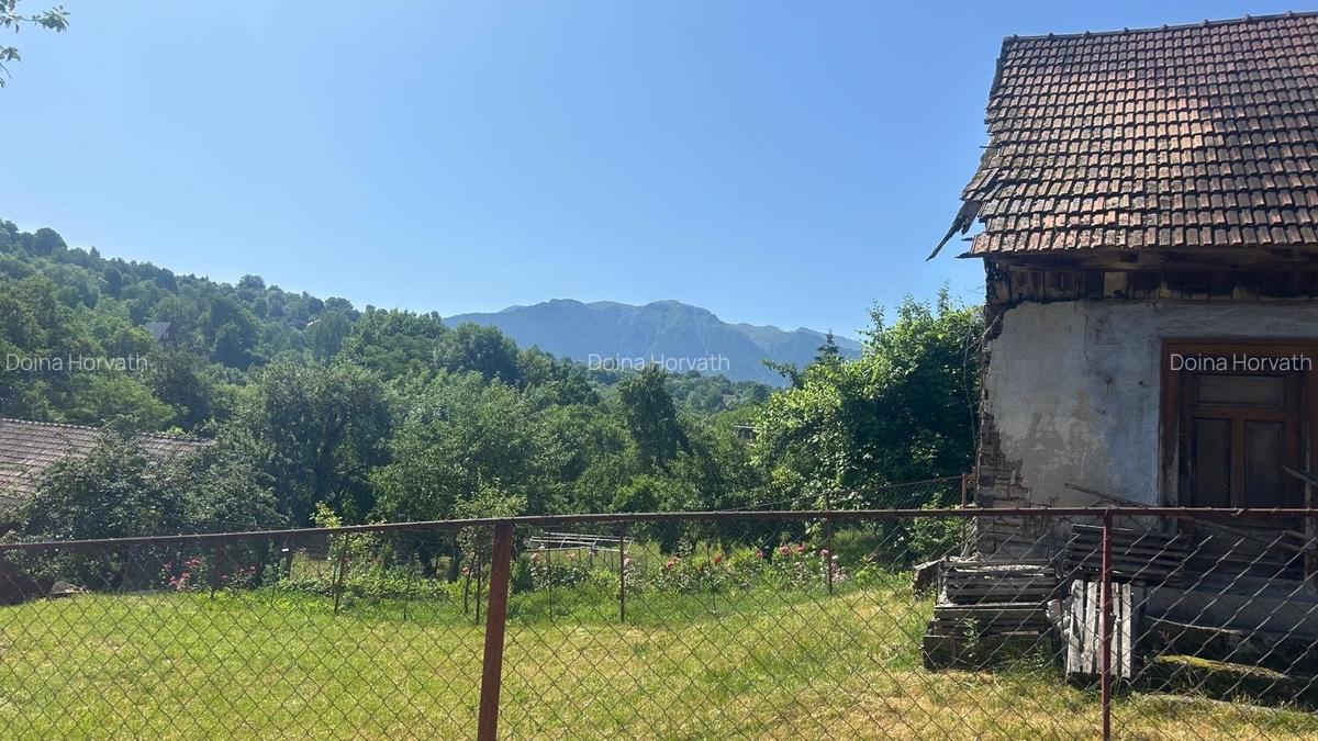 Casa din barne de lemn - Sohodol - 2