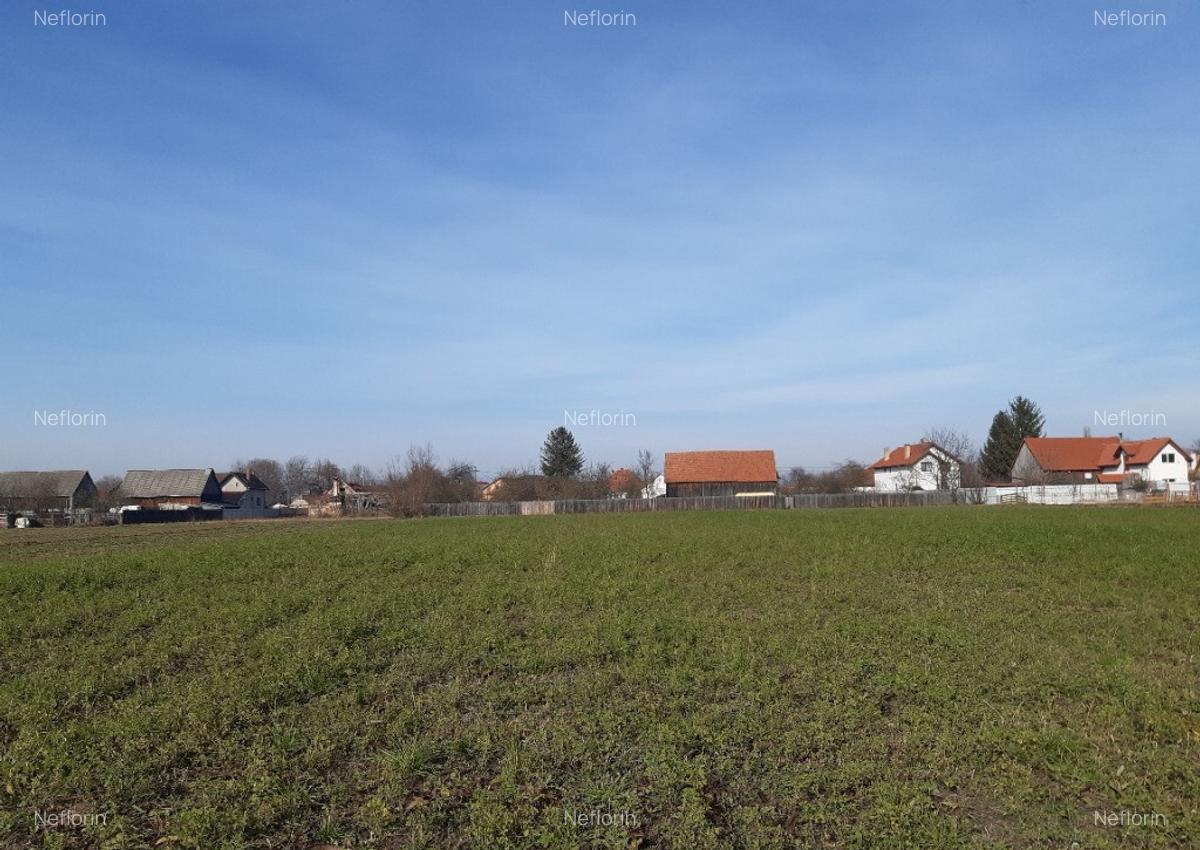 Vanzare teren intravilan construibil Lunca Calnicului - 3