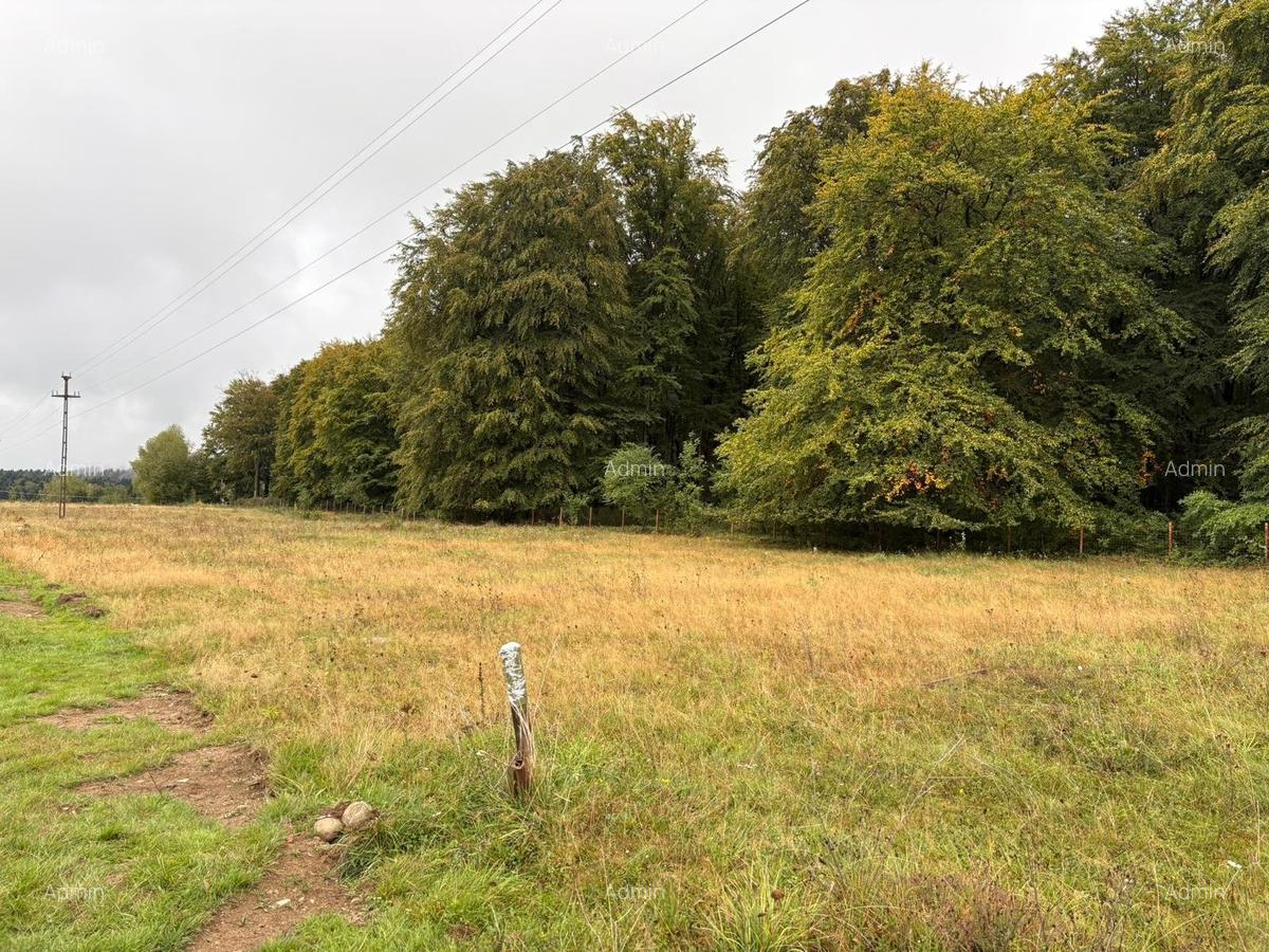 Comision 0 %, teren intravilan Sambata de Sus, ideal cabana weekend - 6 Comision 0 %, teren intravilan Sambata de Sus, ideal cabana weekend - 6