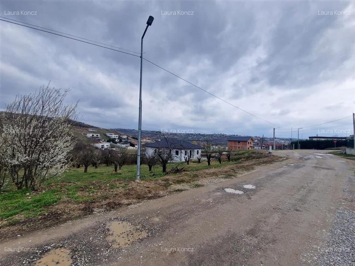 Teren Construcții intravilan de 1000 mp, în Săldăbagiu de Munte - 3