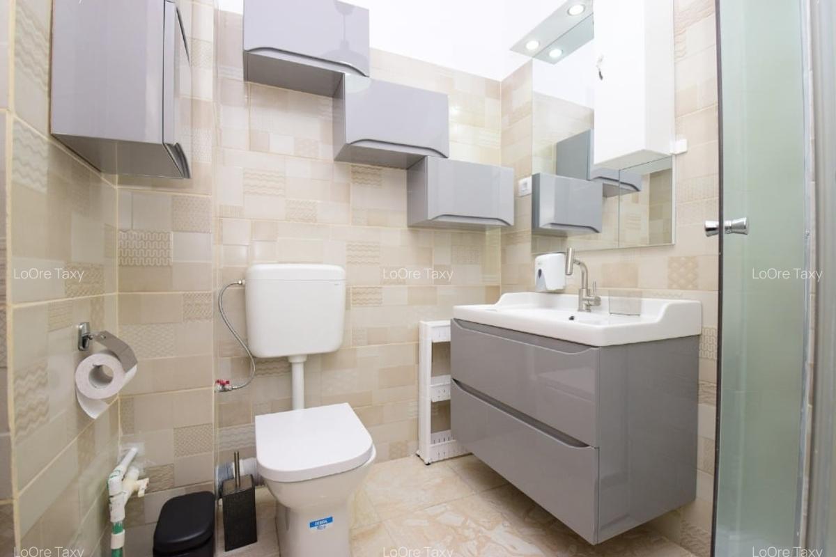 Apartament 2 camere inchiriere - 8