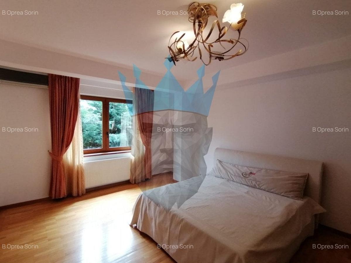 Vila Pipera Bucuresti - 6
