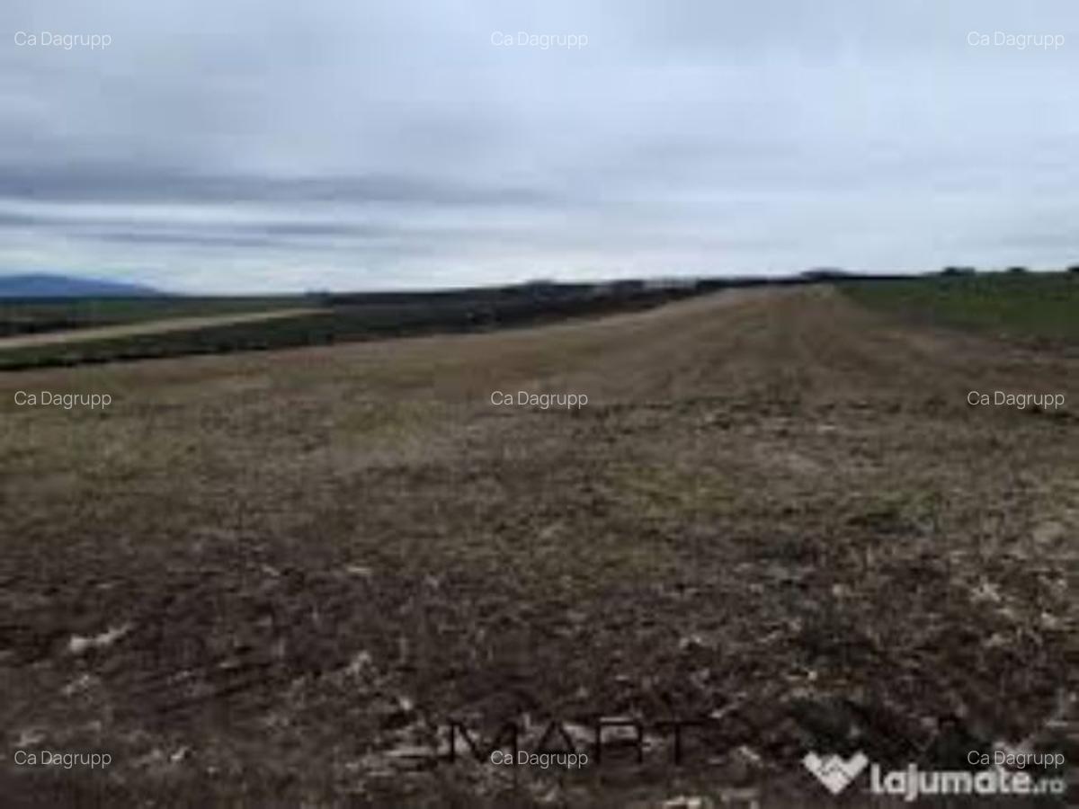 5 hectare teren agricol in comuna Olteni din judetul Teleorman - 1