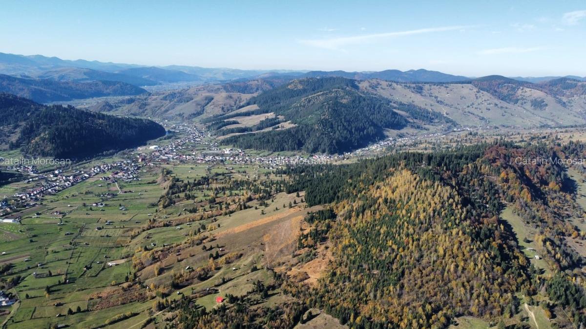 Vindem 80000 mp teren extravilan Bucovina - 2