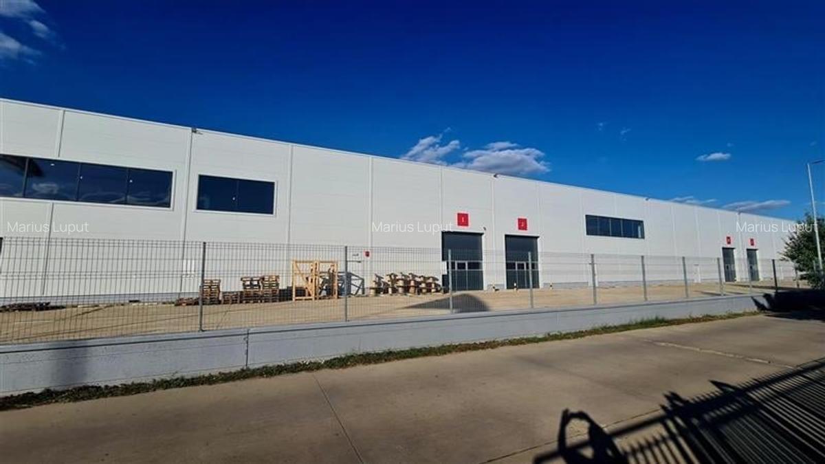 Hala industriala 5000 mp,  Timisoara Calea Sagului - 1