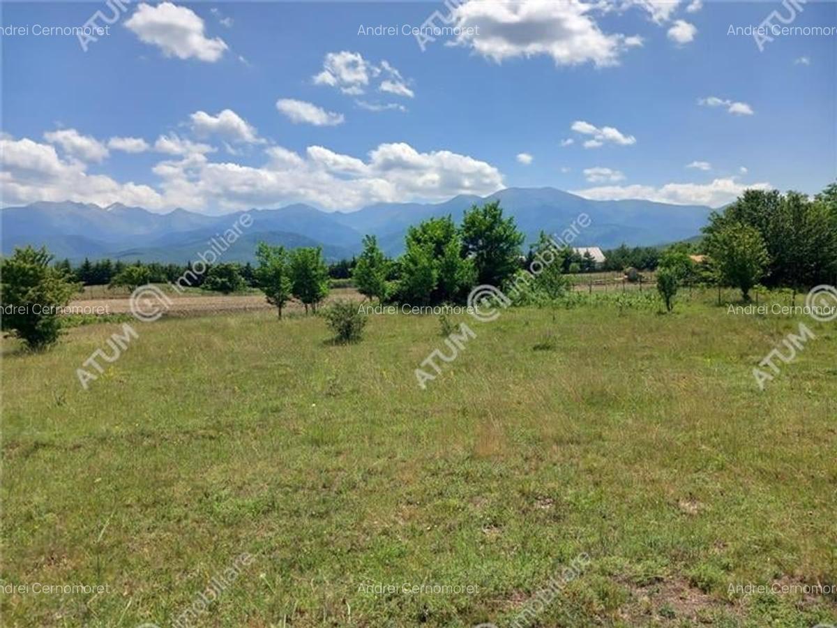 Teren intravilan 5000 mp pe Valea Avrigului, Sibiu - 6