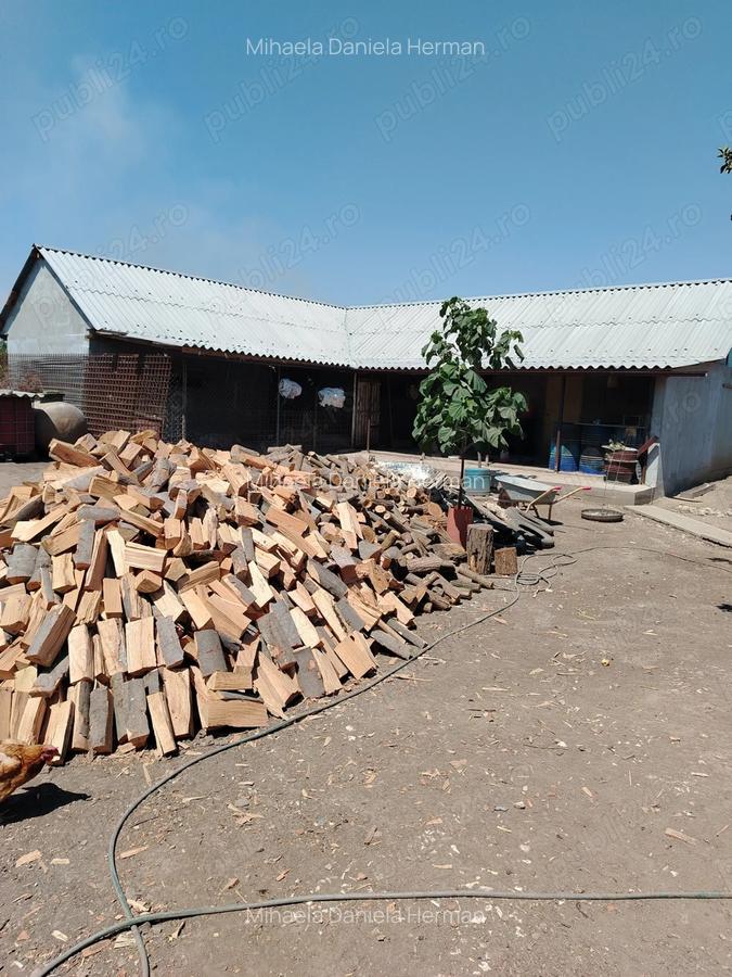 Casa de vanzare in sat LANURILE - 3