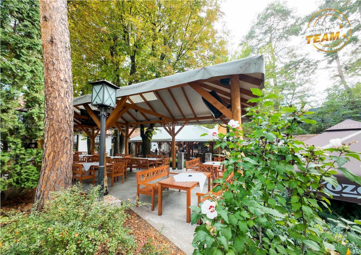 Complex Gastronomic:Afacere la cheie, Restaurant traditional - 12