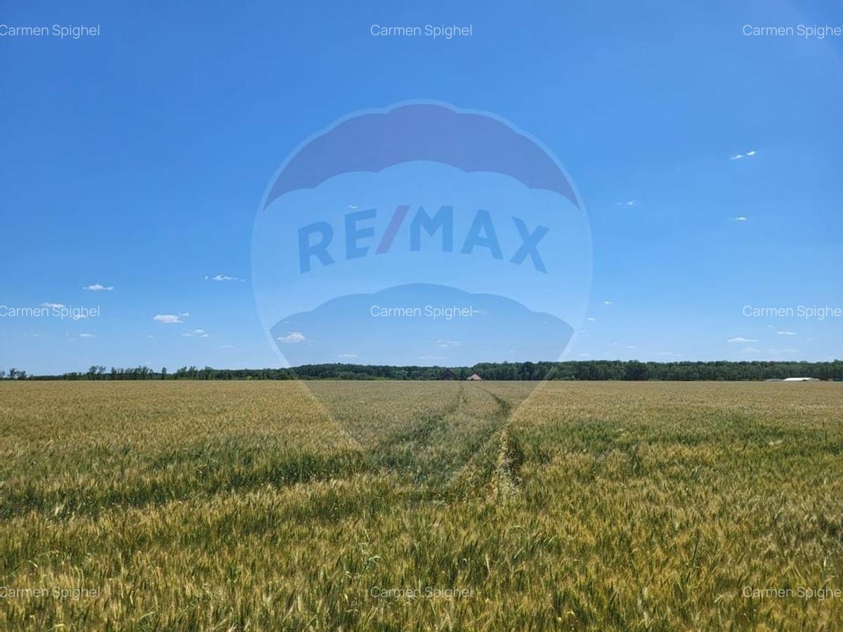 Teren intravilan 4,100 mp, fs 18 ml si 2222 mp fs 16 ml Peris IF - 1