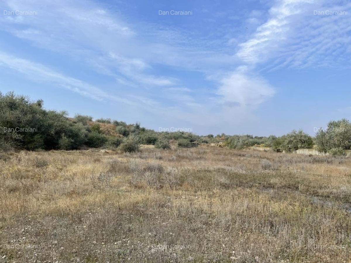 Ovidiu 6 ha teren intravilan construibil îngrădit și platforma betonata. - 19 Ovidiu 6 ha teren intravilan construibil îngrădit și platforma betonata. - 19