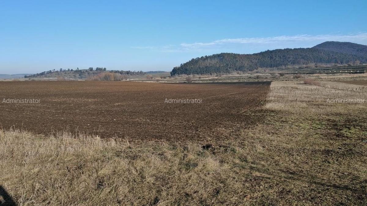 Teren intravilan,428 mp,SANPETRU iesirea spre BOD, utilitati. - 5