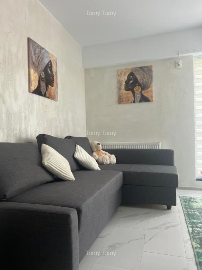 Apartament  Studio Mobilat  cu  Curte proprie  si loc de parcare - 6