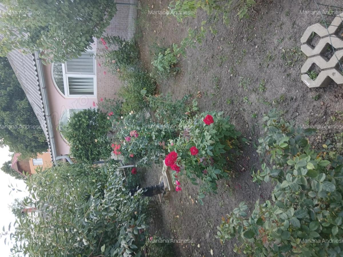 Casa cu gradina in Probota Iasi. - 5