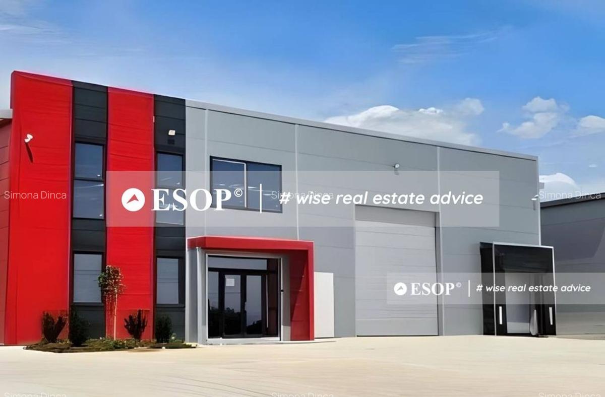 Spatii industriale premium, DNCB, Chiajna, Chitila, Rudeni ID 15426.2 - 1