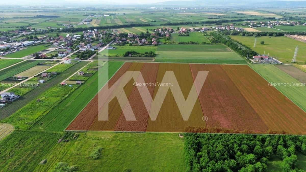 Teren Construcții intravilan de 65940 mp, în Stupini - 5