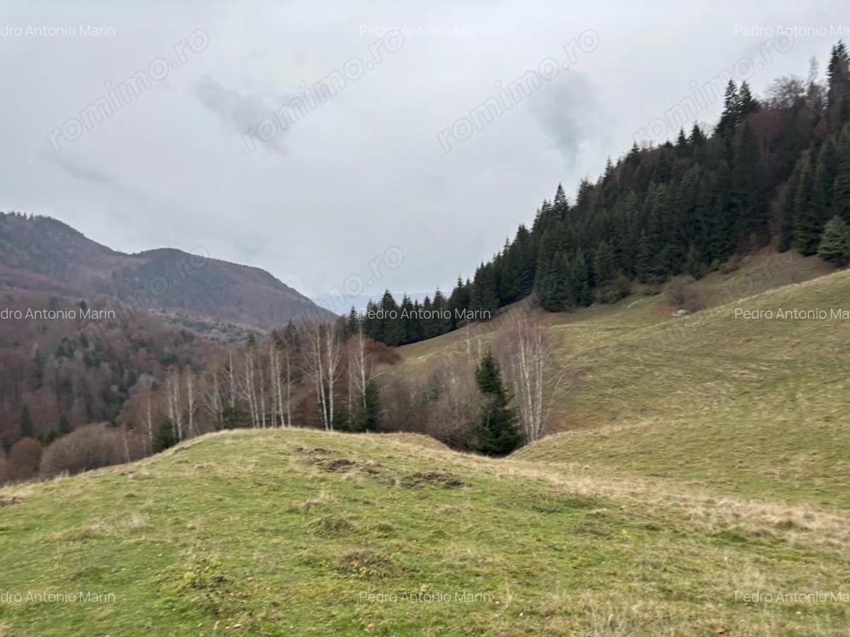 Teren extravilan 4 mp Valea Cheii Dambovicioara - 2