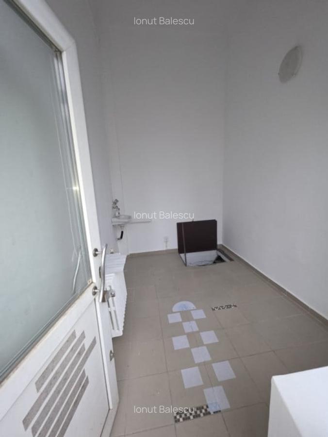 Inchiriere Spatiu Comercial Vasile lascar Dacia - 2