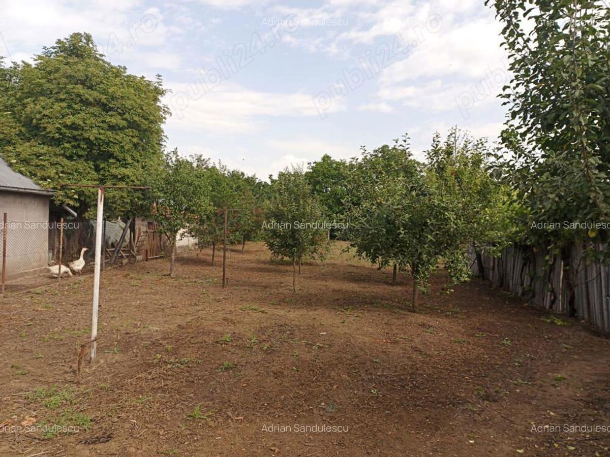 Casa fierbinti targ ialomita - 3