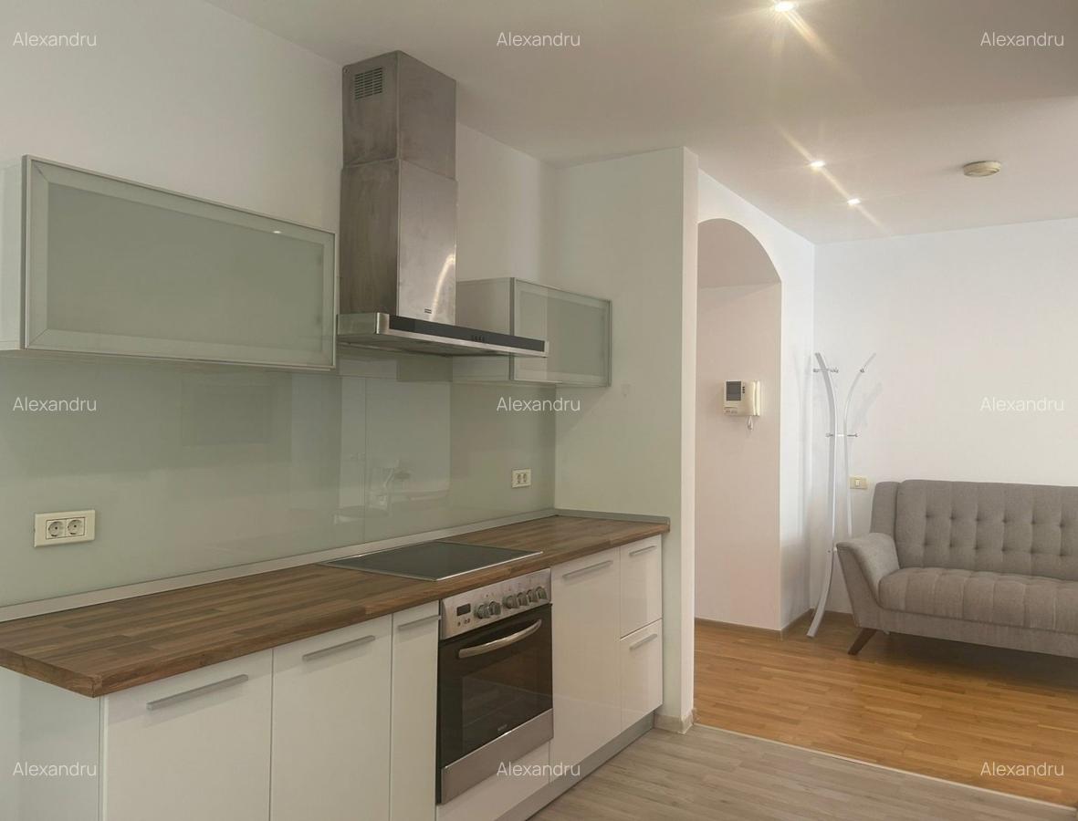 Parc Herastrau 4 camere lux vedere parc - 6